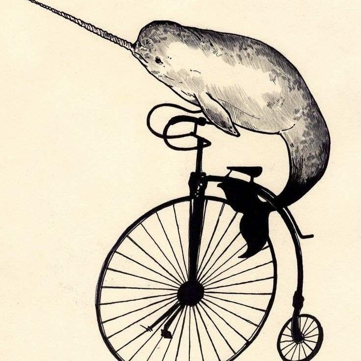 a drawing of a narwhal riding a penny farthing bicycle